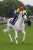 公式の予言ワロタ #ビクトリアマイル #ソダシ #白馬