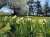Happy Monday #DMV folks! The sun&rsquo;s shining bright! Have a lovely week   #Spring #Monday #Morning #Sunny  #GoodVibes #Nature #MondayMotivaton