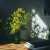 3月8日は#国際女性デー。 「ミモザの日」とも呼ばれています。  ふわふわな咲き姿が可愛いミモザは、この時期愛される花の一つ。 ドライでも楽しめるので、スワッグやリースなどのインテリアとしても人気です。 日が経っても姿にあまり変化はないため、購入する際は第一印象で選ぶのがポイント。