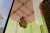 "أبل" تطرح "ماك بوك" و"آي ماك" بسرعة مضاعفة #أبل #تكنولوجيا #الرقائق_الإلكترونية_وأشباه_الموصلات<bR>كشفت شركة "أبل" عن إطلاق أجهزة "أي ماك" (iMac) و"ماك بوك برو" (MacBook Pro) الجديدة والجيل