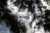 أرباح "أداني إنتربرايزس" تهبط للنصف مع تراجع إيرادات الفحم #الهند #الفحم #أرباح #غوتام_أداني #أداني_غروب_(Adani_Group)<bR>هبطت أرباح شركة "أداني إنتربرايس" (Adani Enterprises) الفصلية 50% بسبب انكماش إيرادات تجارة الفحم، ما يبرز ا