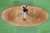 وافق ديفيد روبنشتاين، المؤسس المشارك في "كارلايل غروب" (Carlyle Group Inc) ومجموعة من المستثمرين على شراء فريق "بالتيمور أوريولز" (Baltimore Orioles) للبيسبول، من عائلة أنجيلوس مقابل 1.73 مليار دولار، وفقاً لشخص مطلع على الأمر.تضم