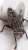 Une vid&eacute;o qui fait mouche  Avec @28minutes