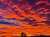 From earlier today   #beautiful #Cloud #clouds #Cloudy #NaturePhotography #PHOTO #photographer #photography #PhotographyIsArt #photographyislife #photographylovers #PhotoMode #PhotoOfTheDay #PHOTOS #picoftheday #sky #Weather