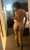 Good morning. Now say it back.