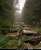 Some of the most fascinating abandoned places in the world you don&rsquo;t know about   Number 7 & 12 will shock you  A Thread   1. Abandoned Traffic jam in Belgium