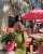 Private Af because outside energy can ruin beautiful things. .......#miami #miamiflorida #miamidesigndistrict #miamilifestyle #doha #dohaqatar #dohainstagram #dohalife #dohablogger #dohastyle #dohamodels #qatar #qatarlife #qatarinstagram #qatarliving