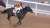 Japanese @KentuckyDerby contender! Crown Pride's chances at Churchill Downs are debated by @loomsboldly and @hayleyjanemoore #KyDerby #競馬 #ケンタッキーダービー