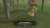 今がわりとそうかな いよいよ見えないもん  #ゼルダの伝説 #BreathoftheWild #NintendoSwitch