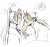 (mdzs) you don't eat meat?? why not?? are your teeth not sharp enough??