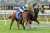 First Flies! Relishing the step up to 2000m, the promising mare First Appearance recorded a barnstorming impressive victory at Pakenham on Thursday evening. Full article: