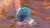 クサヤ温泉ぷるぷるクラゲ観賞用 #Splatoon30:31530.6K views