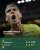 King of clay..  #نادال_جوكوفيتش