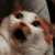 Буданов: ........... русня: