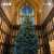 Merry Christmas from all of us at BBC Radio 3.   However you are spending this Christmas, we hope you find togetherness, warmth and joy in the music. Show more