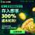 存入即享300% Bonus！即刻参与吧！BC GAMEFrom bc.game