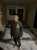 This is 12 year-old Palestinian child, Kareem Mahmoud Ghawanmeh.  He was taken away by Israeli IDF forces this morning. when they raided his home in the Jalazon refugee camp in the West Bank.  Israel is kidnapping Palestinian children every day, they