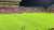 元エスパルスの金子&松原の両選手が試合後、清水ゴール裏に挨拶に行くも大ブーイングで迎えられる (松原選手は号泣)