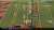 Fought for it   #ProBowlVote x #TeeHiggins  #KCvsCIN |  CBS
