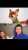 My everything love you\ud83e\udd79\u2764\ufe0f   @nawar.ismael