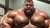 mmmmmmmuscle moobs on a muscle beast. 448 #bigandstrongAI #AIfantasy #musclebull #musclechub #chubbydad #muscledad #NSFW #chubbygay #chasersdream #alphabull