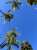 #SaturdayMorningWalk #pacificOcean #luckyWeLiveHawaii Got outside to walk for the first time in a while. My energy levels have been low lately. This helped.   #outside #ocean