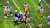 Colts player saying &lsquo;it&rsquo;s the same plays,&rsquo; in regards to the Steelers Offense. #Steelers #NFL