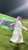 الاثاره في #دوري_يلو  فهد الطفيل رئيس الشعله ، يغرز العلم  ويدق دباس الدوسري بالكلام .  #اكشن_مع_وليد  #الاهلي_الخلود