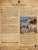 SIR YES SIR   #bobainu and #Dogecoin