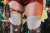 ライザちゃん、アニメ化！！！！  #ライザのアトリエ