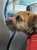 Greetins from da 96 pals, #btposse.  We had a smooth crossin from Cairnryan an got into Belfast port bang on time ⁦@claptonterrier⁩ ⁦@Bertie_the_BT⁩ ⁦@lynniehamish⁩ @toffeeparton.  Now we headin to city centre to get da first coach to Dublin.