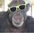 Public Mint ends at 9 AM EST.  If we exceed 2.85k with lots of pending transactions we may need to disable the mint button early.   We are going to burn the rest of supply  afterwards.  Happy minting and good luck