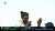 How about this delivery from Ravindra Jadeja to dismiss Steve Smith   #INDvsAUS | BT Sport 1