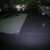 Bear cub catching snowflakes..