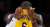 92% of the money is on the Pelicans (-3) vs the Lakers tonight