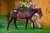 Embellish was top of the pops during book 2 at Karaka 2026. Our filly out of Queen of Wizardry landed the highest price when selling to @busuttin for $200,000. @KarakaChat