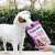 Why take one when you can take the whole bag?  . #cbdfordogs #cbd #dogcbd #cbdcommunity #dogstagram #dogmom #doglover #dogtricks #dogtreats #dogsofinstagram #jrt #jackrussellterrier #jackrussell #jackrusselllovers #jackrusselllife #jackrussellsofinst