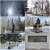 Мои прогулки по городу. Парк ПобедыОмск