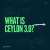 WHAT IS CEYLON 3.0?   #web3 #blockchain #cryptocurrency #nft #metaverse #community #decentralized #c3 #bitcoin #ethereum #solana #matic #forex #trading #money #bitcoinnews #investment #business #cryptonews #cryptotrading #coinbase #invest #entreprene