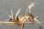 So you thought that zombie ant fungi were all-powerful? Think again! We discovered two new fungal species that parasitize Ophiocordyceps fungi. Intrigued? Here's the pre-print with their description, genomes and natural history @Brittany_Lebert @joao