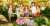 【冬アニメ総括\u2465】 #のんのんびより のんすとっぷ(第3期)    'にゃんぱすー'から始まらなかったのんのんびよりのんすとっぷ。  これまでとは少し違和感があったものの、その意味が徐々に明かされていき、最後には完結を迎える&hellip;  寂しすぎますが、'のんのんらしい'完璧な終わり方だったと思います。