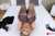 Blond Babe With Sexy Feet@IVANACHERRYKISS  VR Fetish in #8K at Czech Fetish    ****T&CS APPLY**** RT?