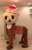 Twitter危機はケンタウロスから進化したSSRのちぃタウロス\u2606が救いますっ\u2606   chiitan live like a horse