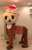 Twitter危機はケンタウロスから進化したSSRのちぃタウロス\u2606が救いますっ\u2606   chiitan live like a horse