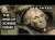 How Many Zombie Firms Are Left In The U.S.?