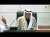 الكويت على أبواب انتخابات برلمانية جديدة