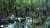 Four young children have been found alive after more than a month wandering the Amazon where they survived like &ldquo;children of the jungle,&rdquo; according to Colombia&rsquo;s President Gustavo Petro