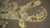 An ancient shrimplike creature was thought to be the quintessential apex predator of its time, but a&nbsp;new study suggests it was more of a&nbsp;weakling than once assumed