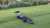 A 79-year-old Florida man was bitten by a nearly 7-foot-long alligator Thursday morning at a golf course in Naples, according to local authorities