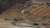 The second pilot involved in a midair helicopter collision Sunday in New Jersey has died from his injuries, police say.A second pilot has died after a midair helicopter crash in New Jersey, police says | CNNFrom cnn.com